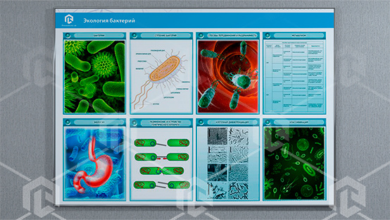 фото Стенд-планшет светодинамический «Изучение экологии бактерий»