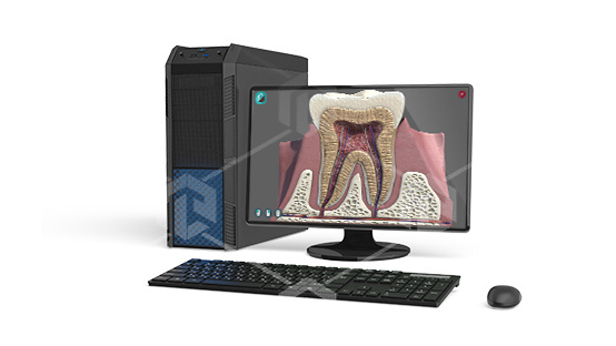 фото Виртуальный учебный комплекс «Виртуальный атлас строения зубов человека»