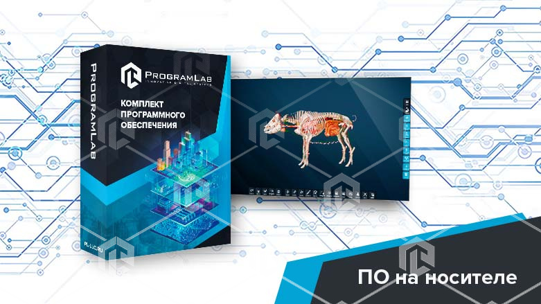 фото Виртуальный учебный комплекс "Интерактивный трехмерный атлас анатомии свиньи"