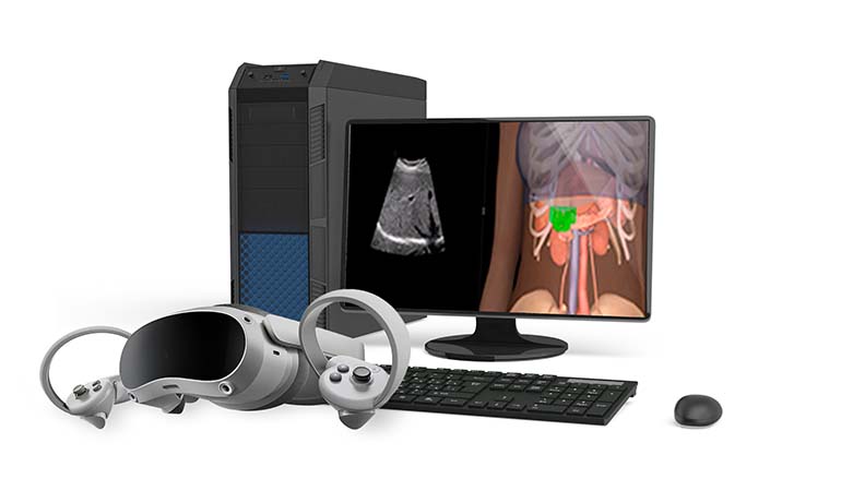 Виртуальный тренажер-симулятор отработки базовых навыков ультразвуковой диагностики (уровень базовый) К3