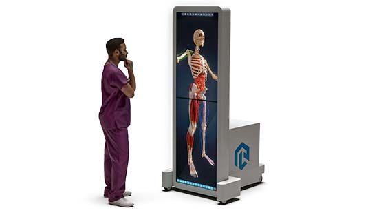 Интерактивный анатомический стол PL-Anatomy Tab Duo (полноростовой поворотный)