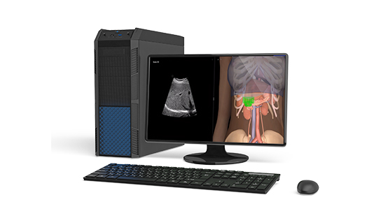 Виртуальный тренажер-симулятор отработки базовых навыков ультразвуковой диагностики (уровень базовый) К2