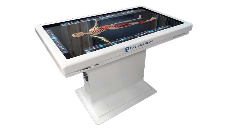 Интерактивный анатомический стол (металл)