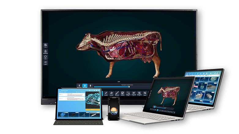 Интерактивное наглядное 3D пособие «Познание: Животные»
