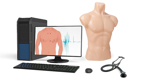 Тренажер для обучения навыкам аускультации с манекеном 
