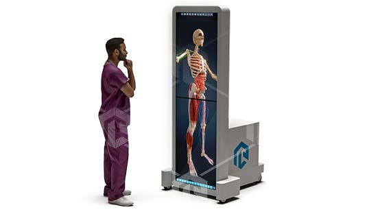 фото Интерактивный анатомический стол PL-Anatomy Tab Duo (Полноростовой поворотный)