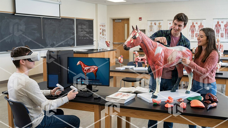 фото Электрифицированный стенд-макет «Анатомия лошади»