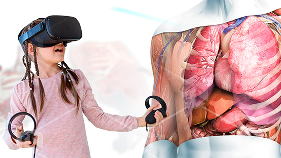 фото Виртуальный учебный комплекс "Интерактивный трехмерный атлас анатомии человека" PL-Anatomy 4.0