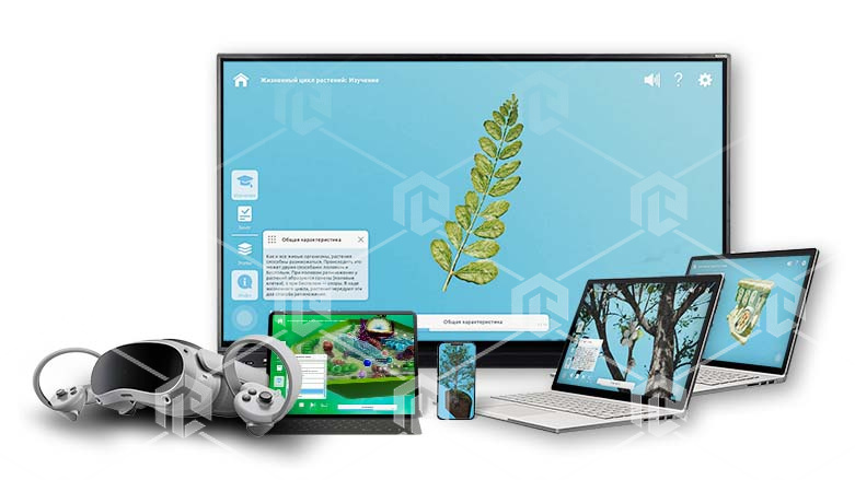 фото Интерактивное наглядное 3D пособие «Познание: Растения»
