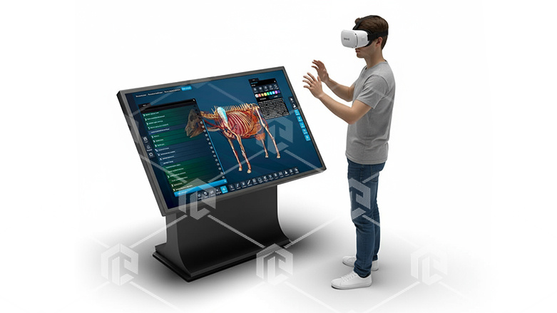 фото Виртуальный учебный комплекс «Интерактивный анатомический стол – ветеринарный» К3