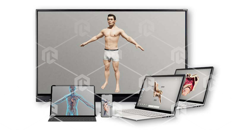 фото Интерактивное наглядное 3D пособие «Познание: Анатомия человека»