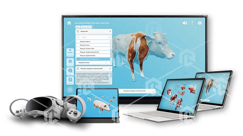 фото Интерактивное наглядное 3D пособие «Познание: Животные»
