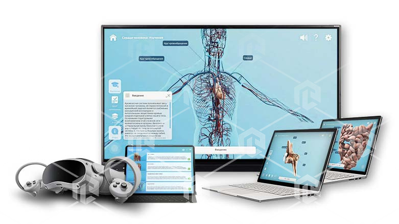 фото Интерактивное наглядное 3D пособие «Познание: Системы организма человека»