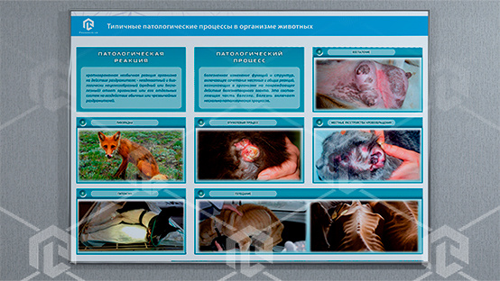 фото Стенд-планшет светодинамический "Изучение типических патологических процессов в организмах животных"