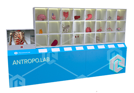 фото Интерактивный стенд «Строение организма человека» – разобранный манекен по ячейкам с интерактивной панелью, реагирующей на поднесенный орган