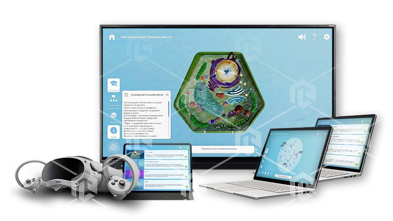 фото Интерактивное наглядное 3D пособие «Познание: Микробиология»