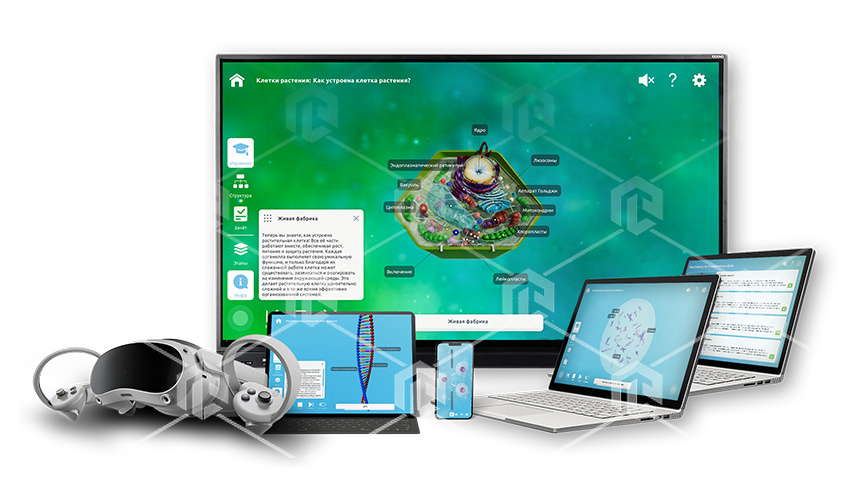 фото Интерактивное наглядное 3D пособие «Познание: Генетика и селекция»
