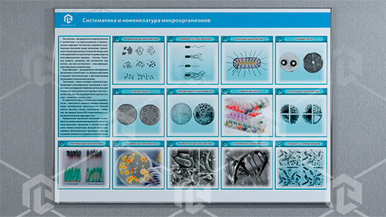 фото Стенд-планшет светодинамический «Изучение систематики и номенклатуры микроорганизмов»