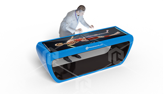 фото Интерактивный анатомический стол PL-Anatomy Tab Duo (Полноростовой)