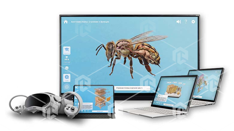 фото Интерактивное наглядное 3D пособие «Познание: Пчеловодство»