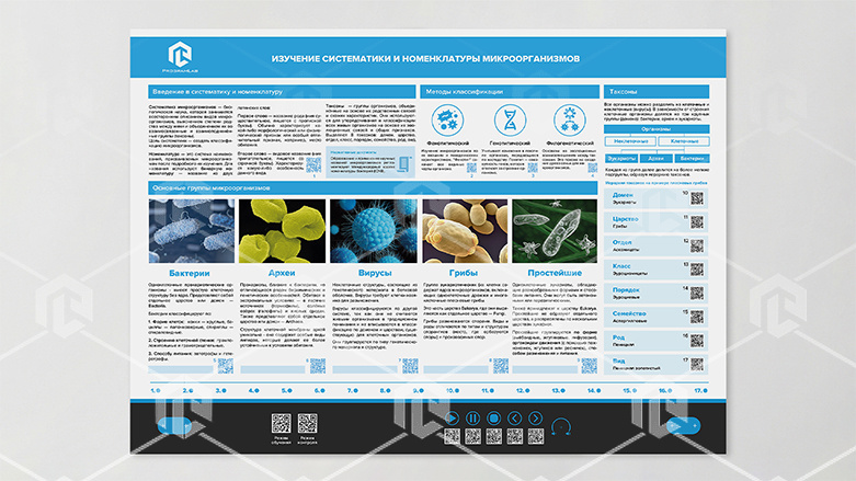 фото Стенд-планшет светодинамический «Изучение систематики и номенклатуры микроорганизмов»