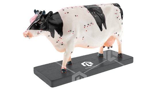 фото Электрифицированный макет коровы на каркасе