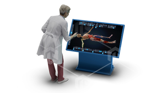 фото Интерактивный анатомический стол PL-Anatomy Tab (металл)