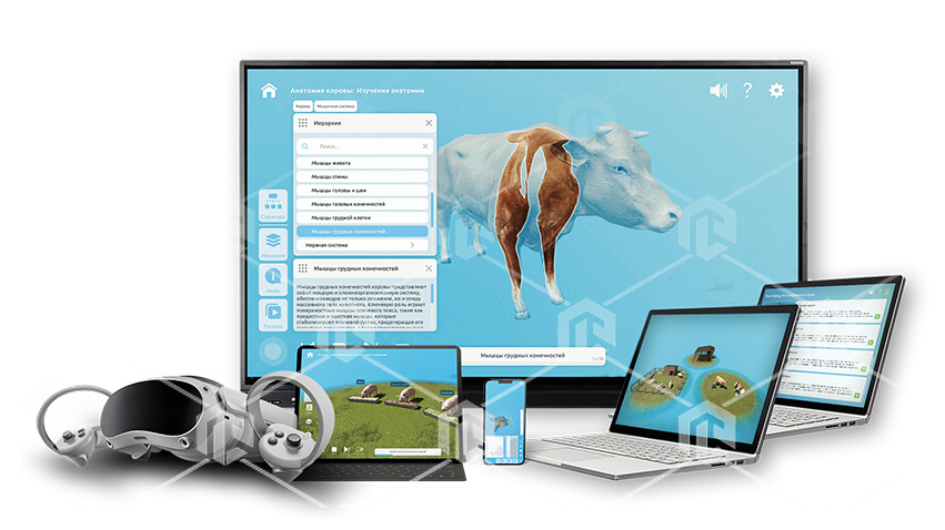 фото Интерактивное наглядное 3D пособие «Познание: Животноводство и современные корма»