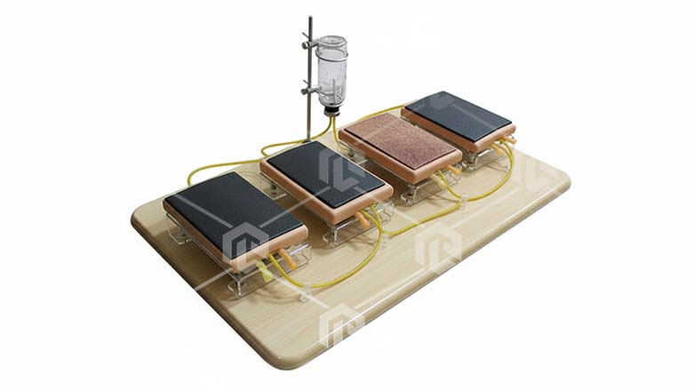 фото Тренажер «Проведение внутривенных инъекций и забор крови»