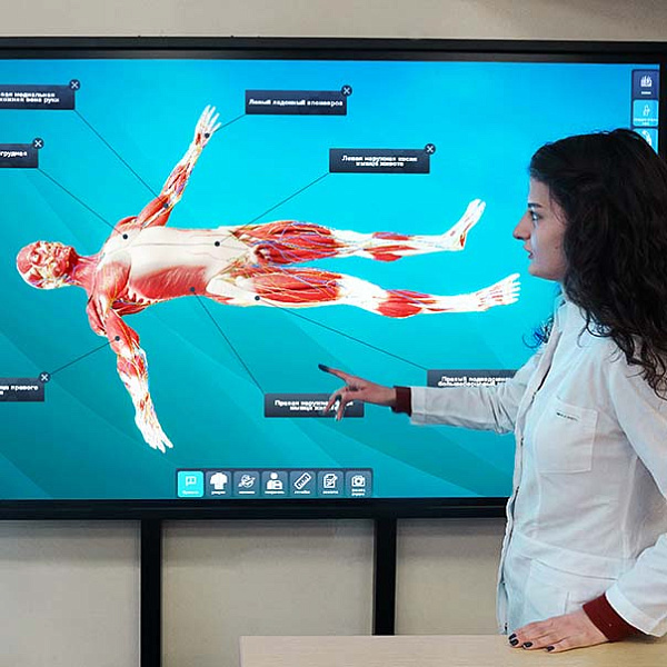 Виртуальная анатомия человека