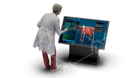фото Виртуальный учебный комплекс «Интерактивный анатомический стол – ветеринарный PL-VetAnatomy Tab»